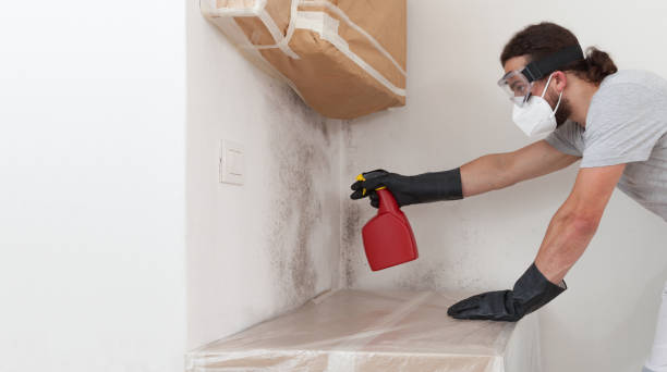 Professional Crawl Space Mold Removal technician working in Jonestown, PA