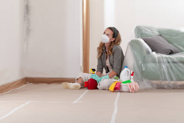 Reliable Crawl Space Mold Removal contractor in Jonestown, PA by WQB Mold Removal
