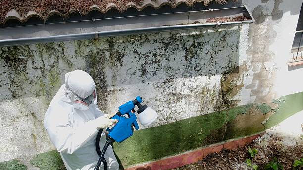 Top rated local Crawl Space Mold Removal specialists in Jonestown, PA